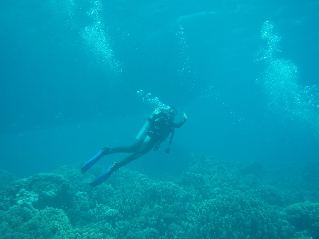 P1010005