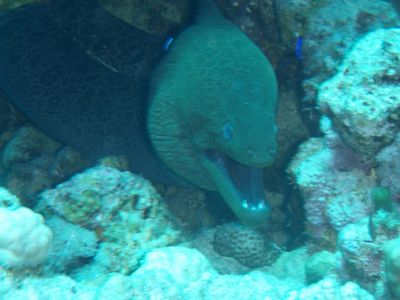 P1010019