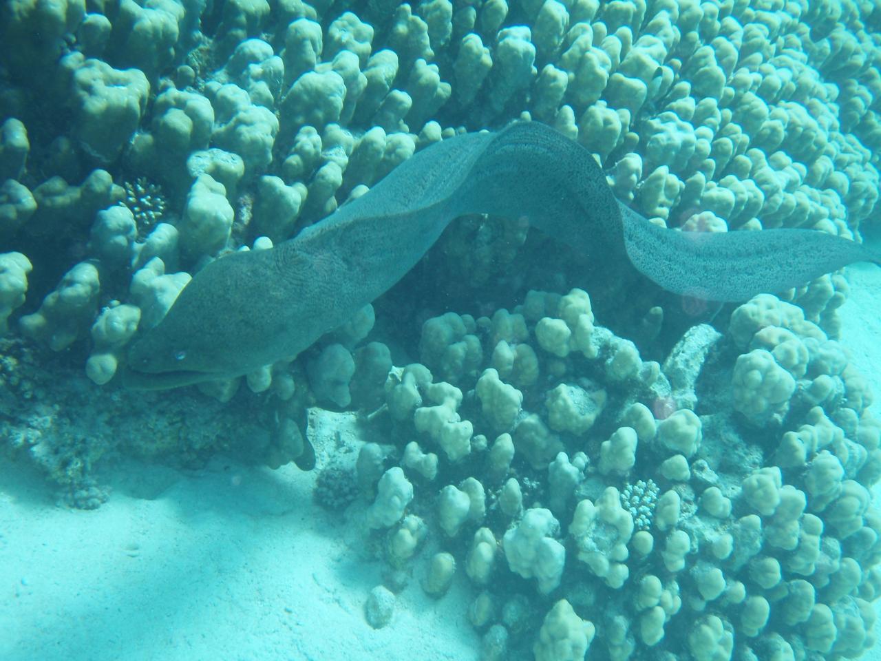P1010026