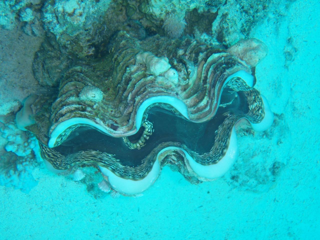 P1010033
