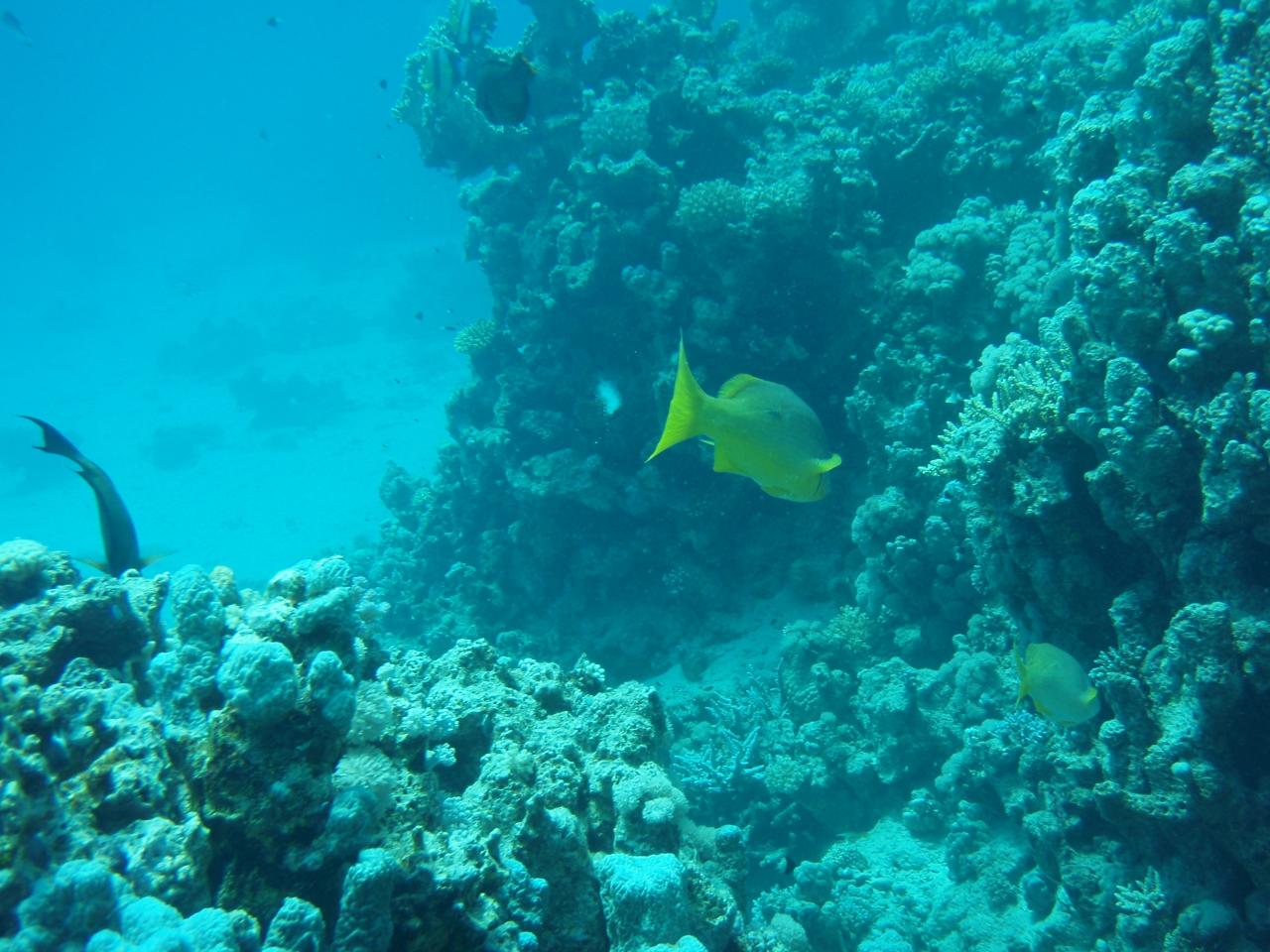P1010040