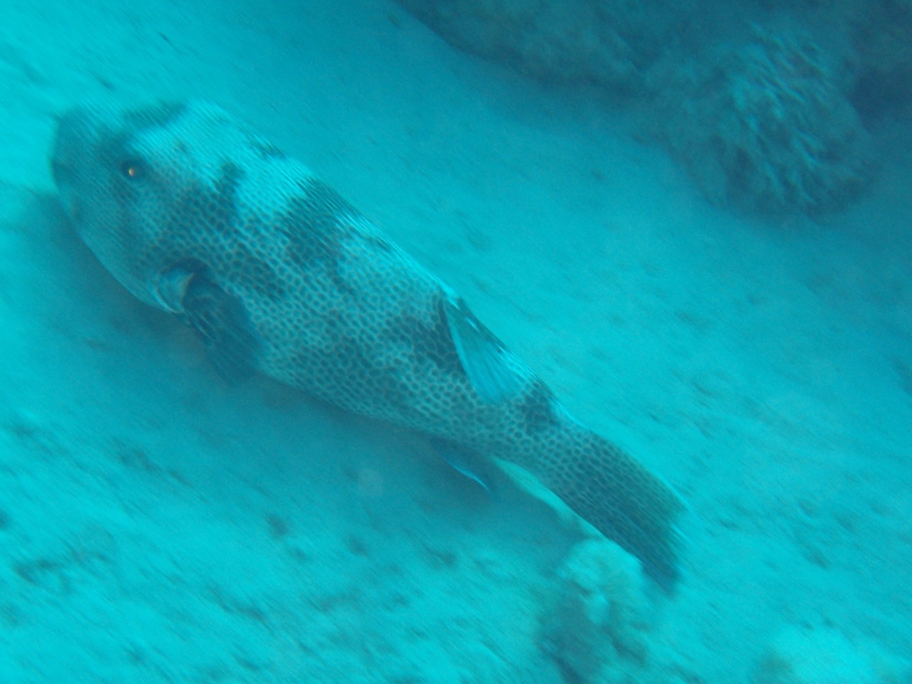 P9040003