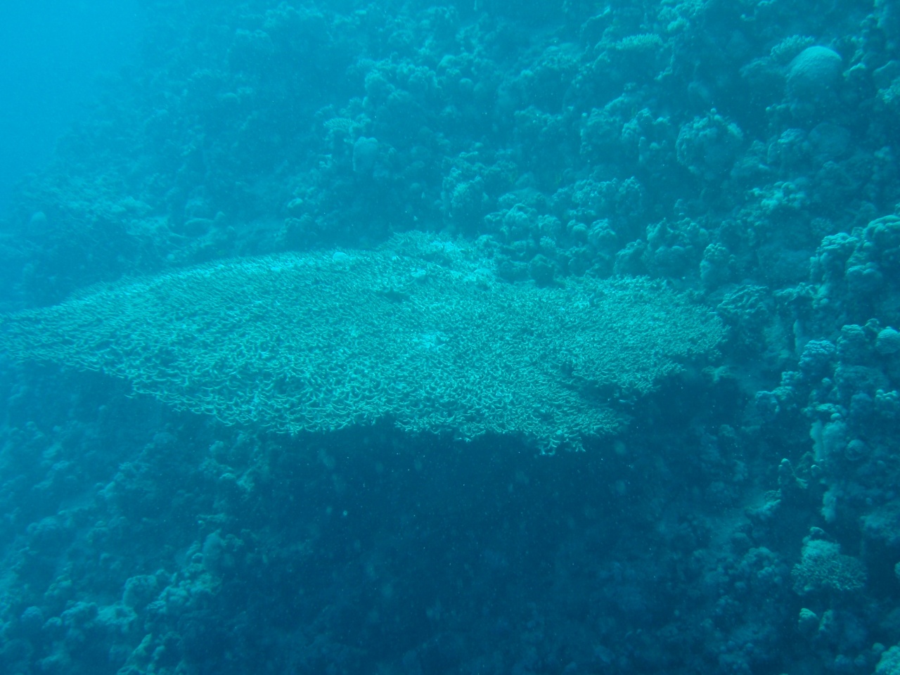 P9040008