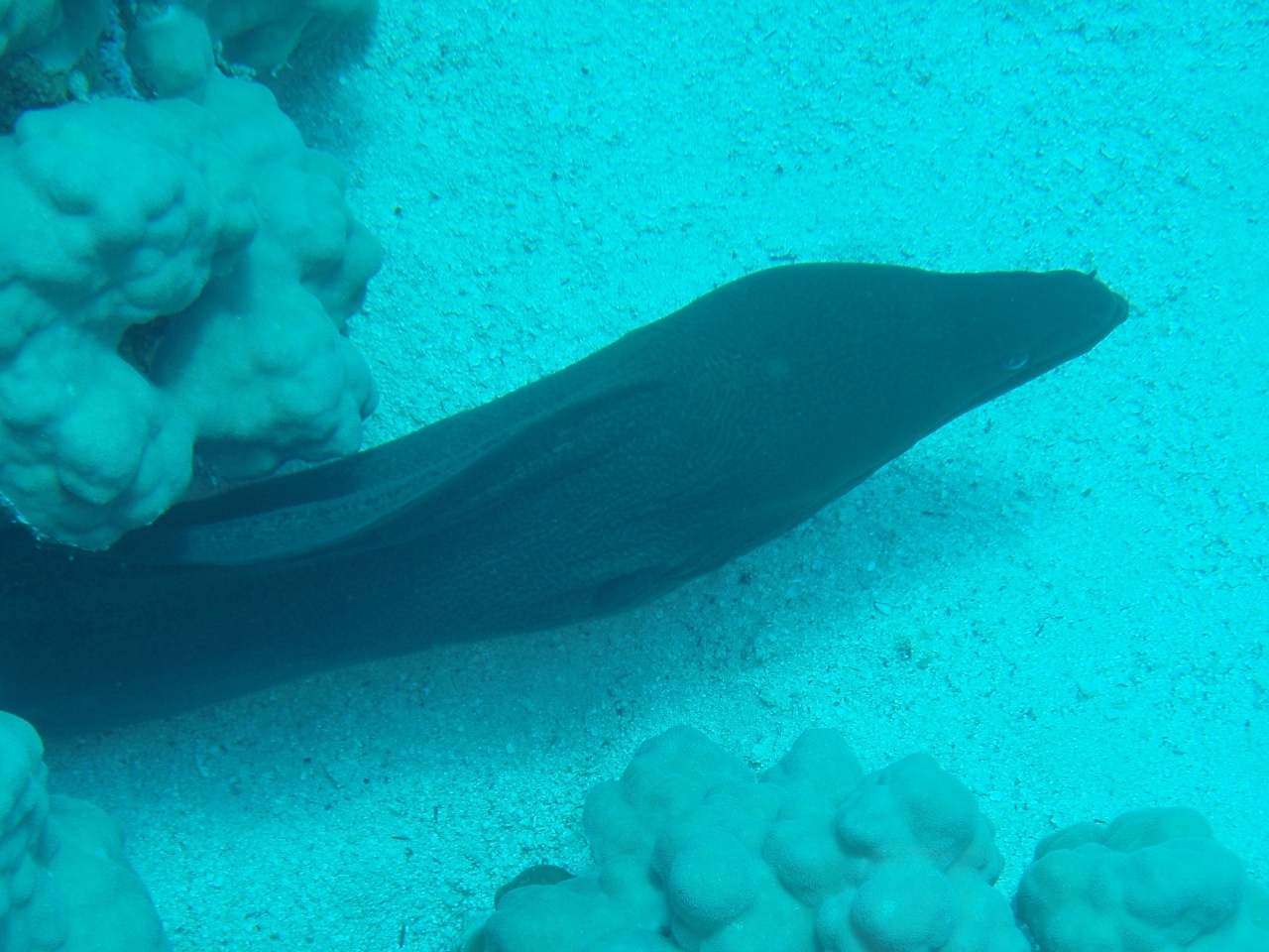 P9040032