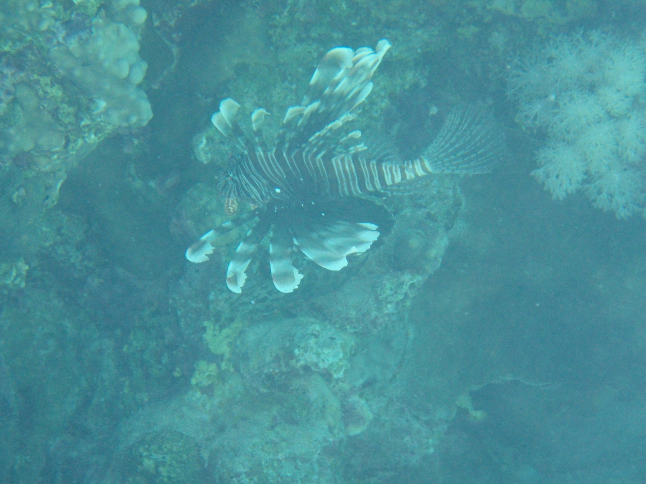 P9040060