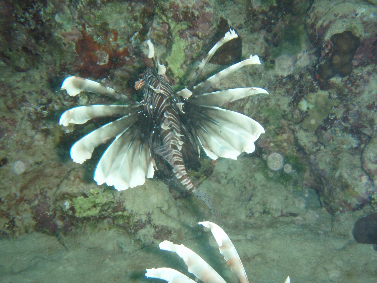 P9040072