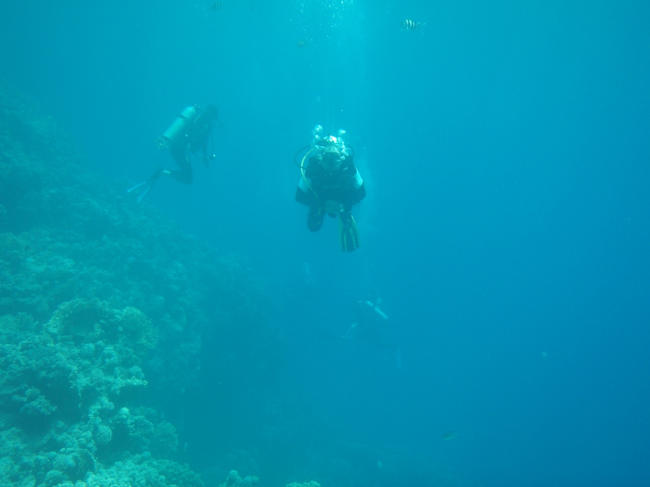 P9040077