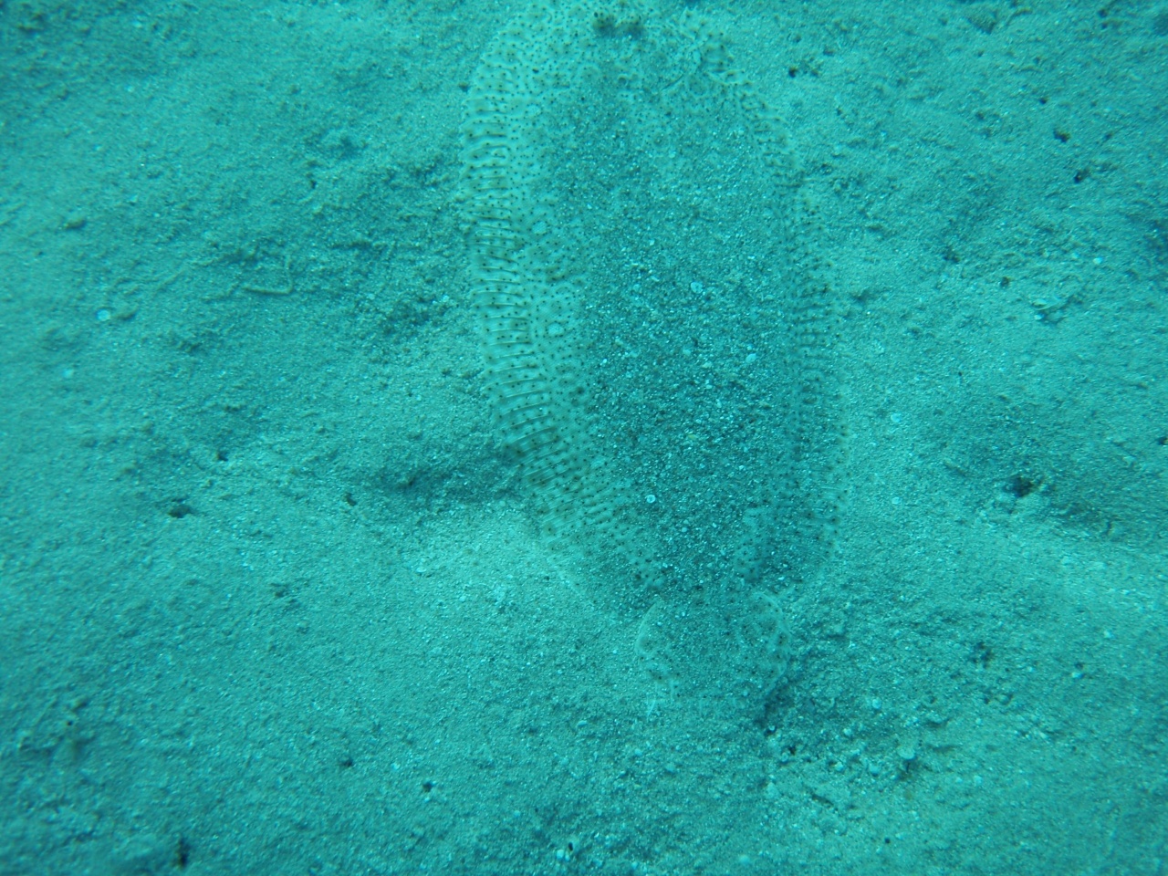 P9050094
